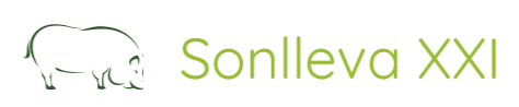 SonllevaXXI