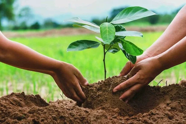 medioambiente